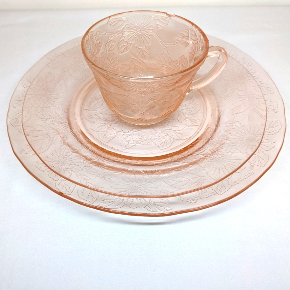 Macbeth Evans Dogwood Print Dish & Tea Cup Ser